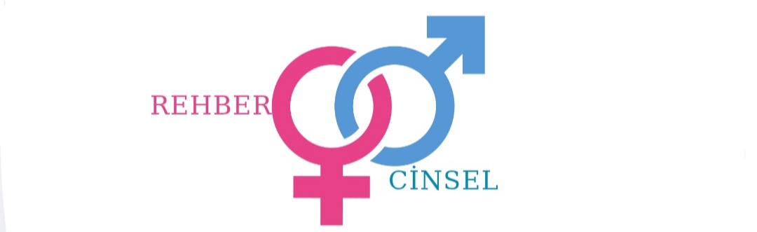 Geoit Wordpress Teması